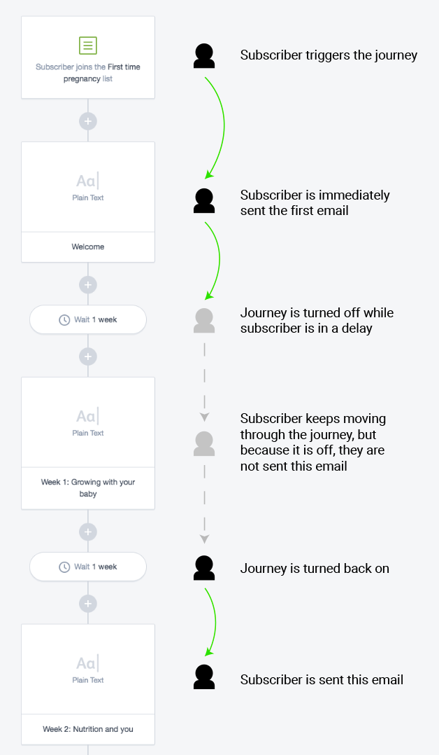 automate your email campaigns